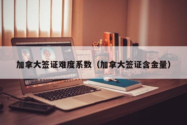 加拿大签证难度系数(加拿大签证含金量)